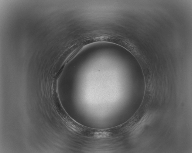 X0000052940363200507151649