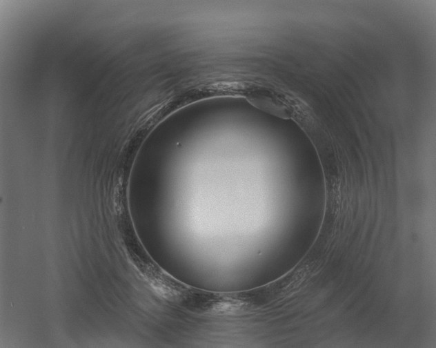 X0000052940364200507151649