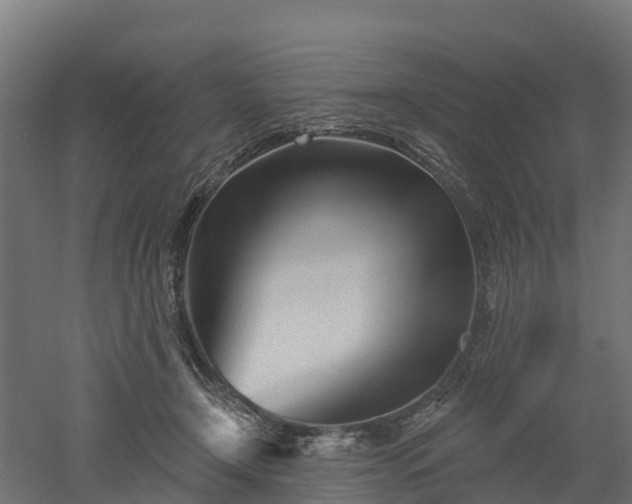 X0000052940366200507151649