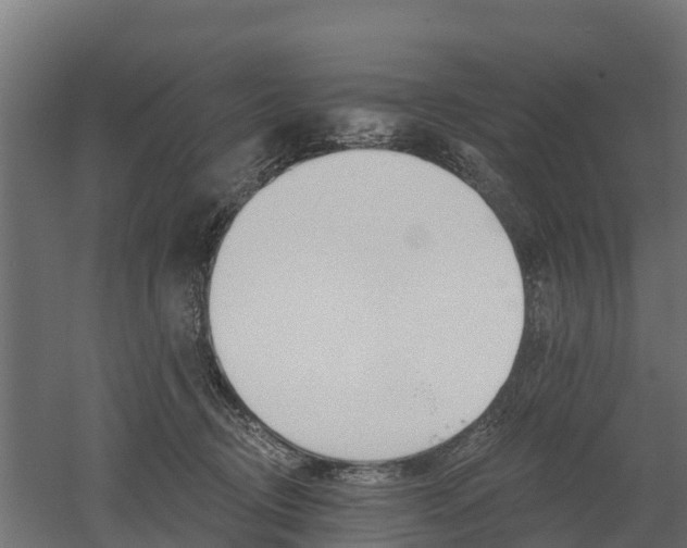 X0000052940370200507151649