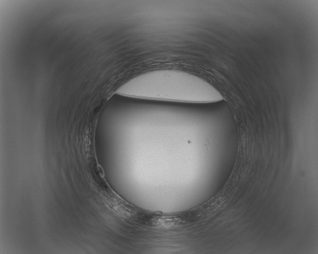 X0000052940372200507151649