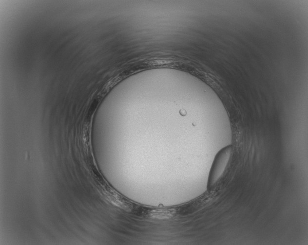 X0000052940373200507151649