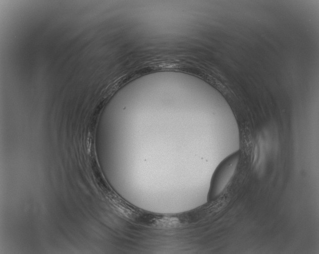 X0000052940374200507151649