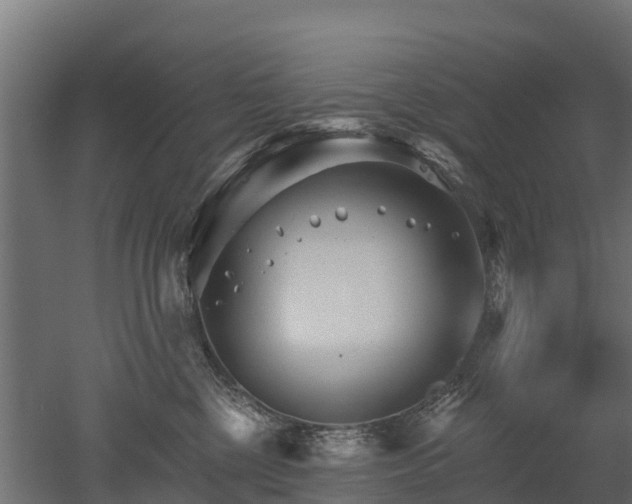 X0000052940377200507151649