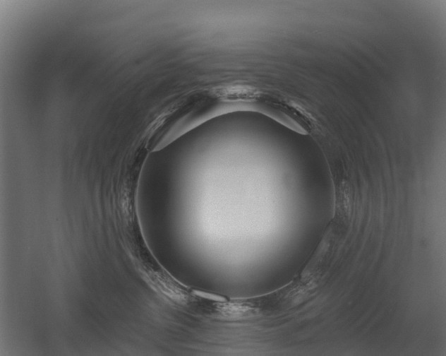 X0000052940380200507151649