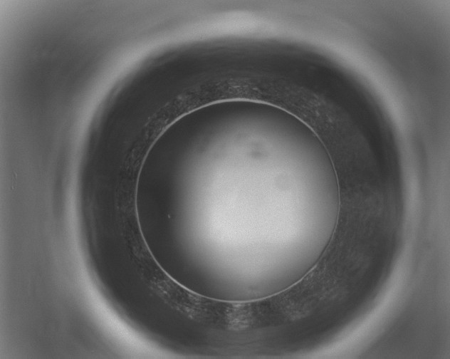 X0000052940382200507151649