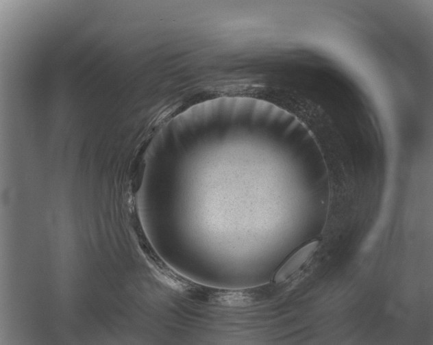 X0000052940383200507151649