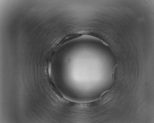 X0000052940384200507151649