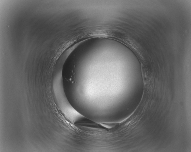 X0000052940385200507151649