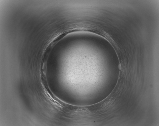 X0000052940386200507151649