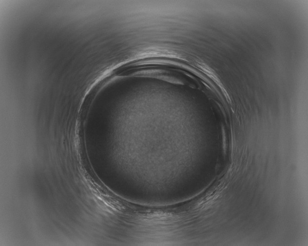 X0000052940387200507151649