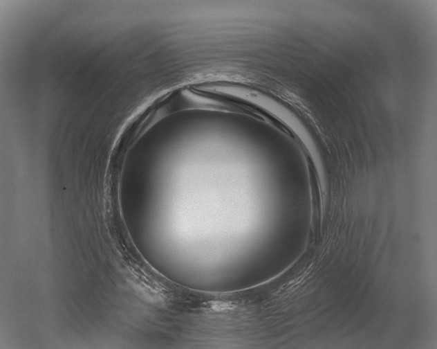 X0000052940388200507151649