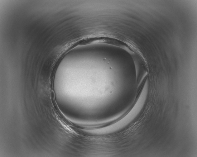 X0000052940389200507151648