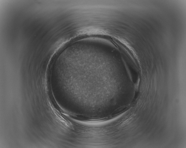 X0000052940391200507151648