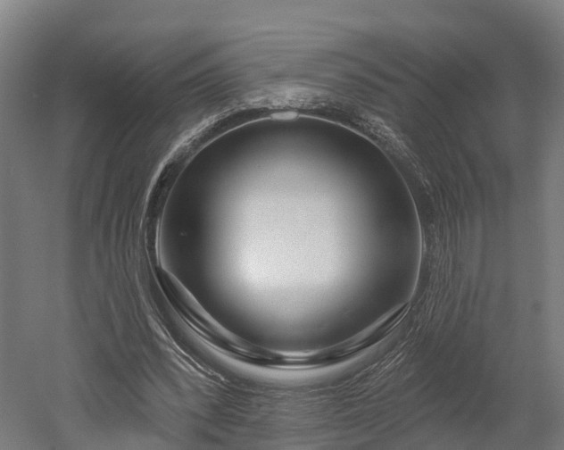 X0000052940392200507151648