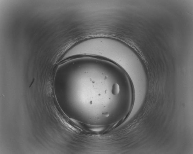 X0000052940393200507151648