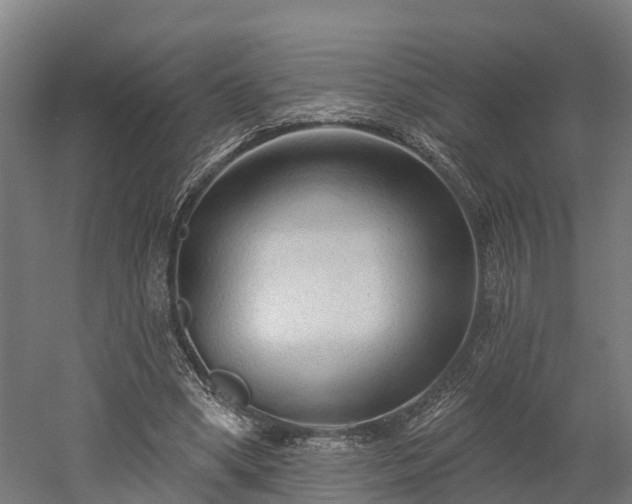 X0000052940394200507151648