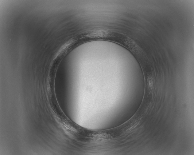 X0000052940396200507151648