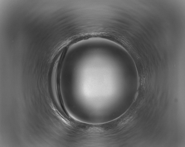 X0000052940397200507151648