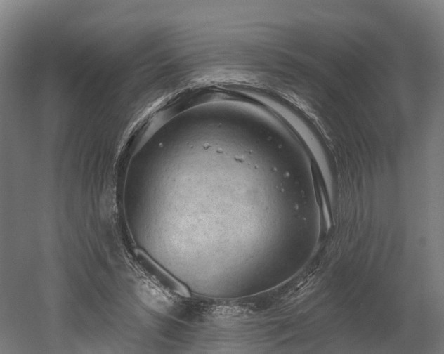 X0000052940399200507151648