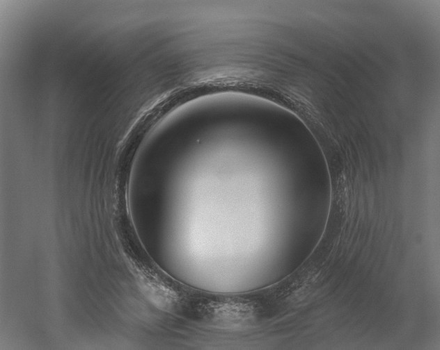 X0000052940400200507151648