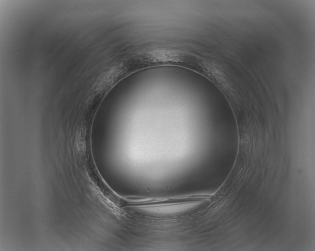 X0000052940402200507151648