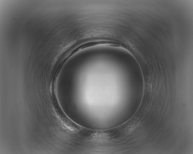 X0000052940403200507151648