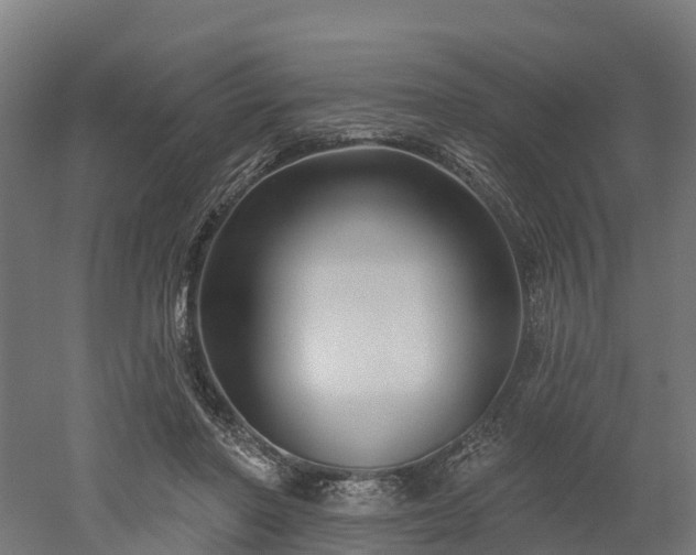 X0000052940406200507151648