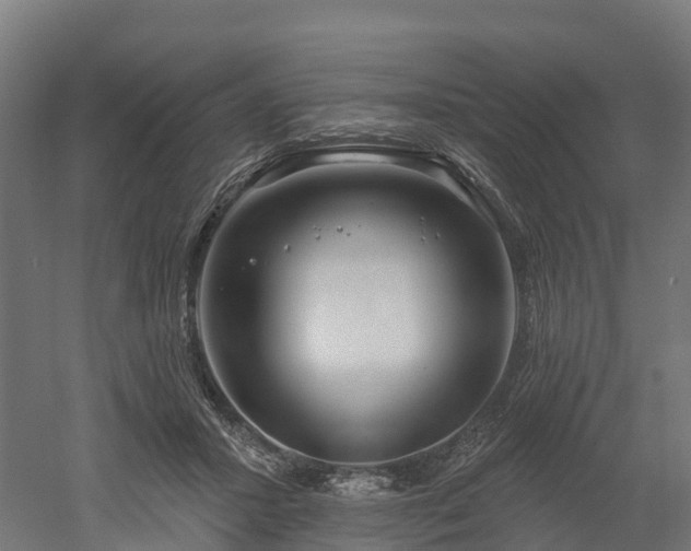 X0000052940407200507151648