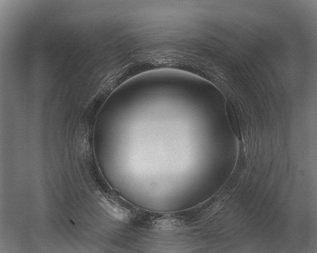 X0000052940408200507151648