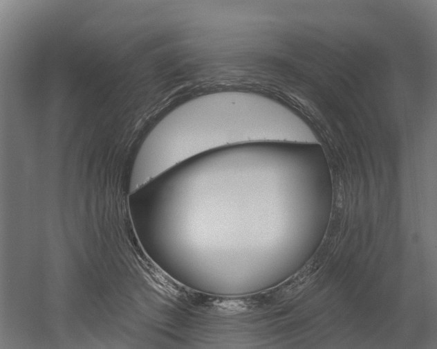 X0000052940409200507151648