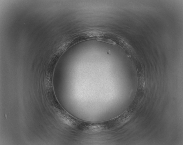 X0000052940411200507151648