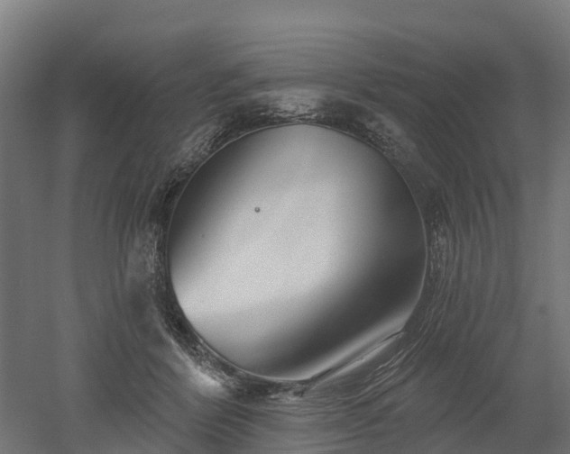 X0000052940412200507151648