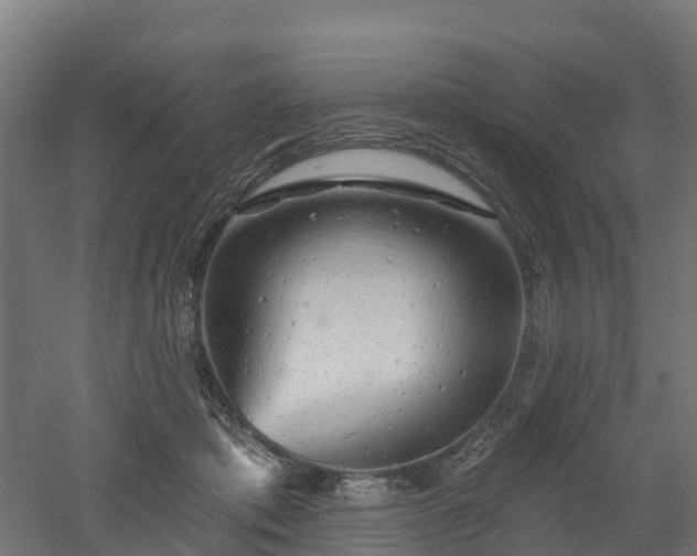 X0000052940413200507151648