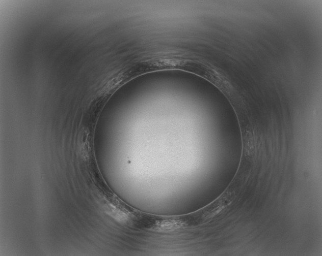 X0000052940414200507151648