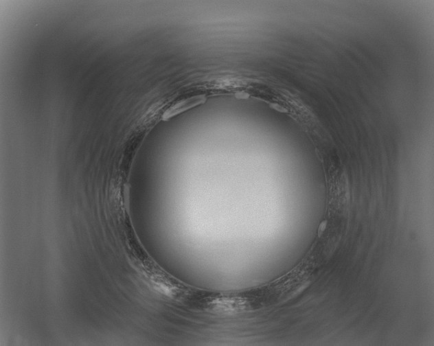 X0000052940415200507151648