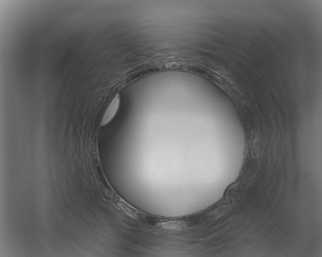 X0000052940417200507151648