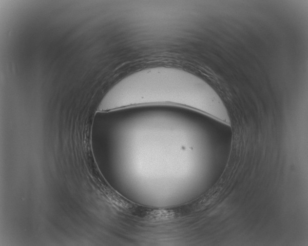 X0000052940421200507151648