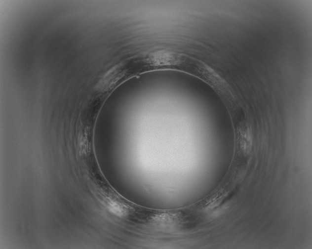 X0000052940422200507151648