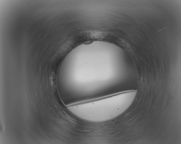 X0000052940424200507151648