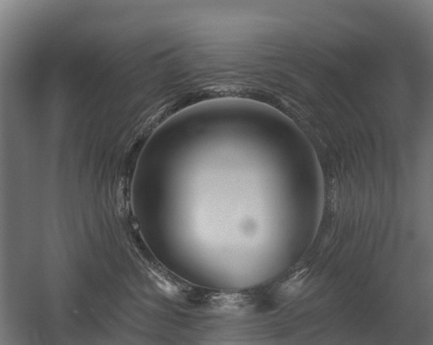 X0000052940428200507151648