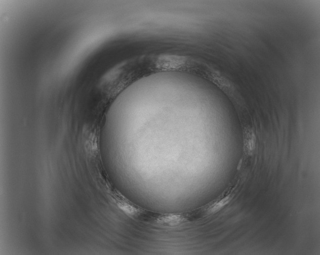 X0000052940431200507151648