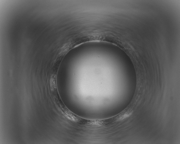 X0000052940432200507151648