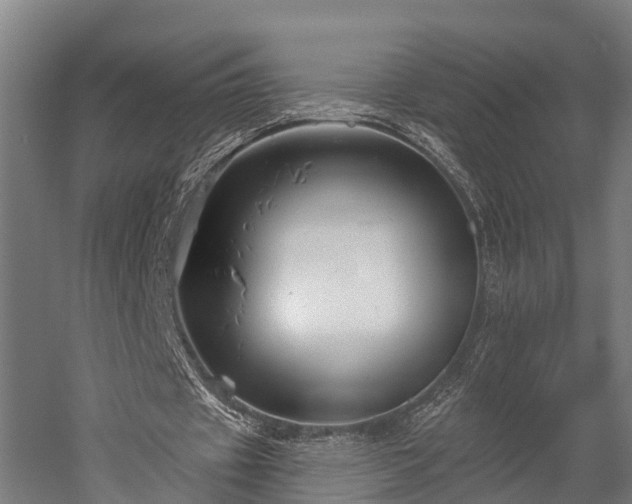 X0000052940433200507151647