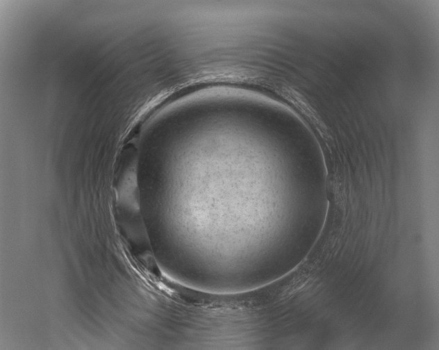 X0000052940434200507151647