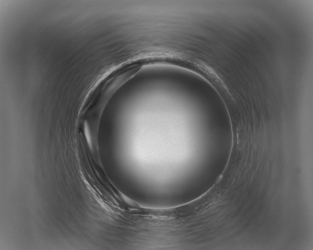 X0000052940436200507151647