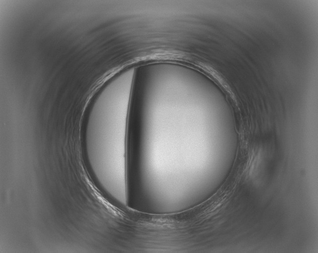 X0000052940437200507151647