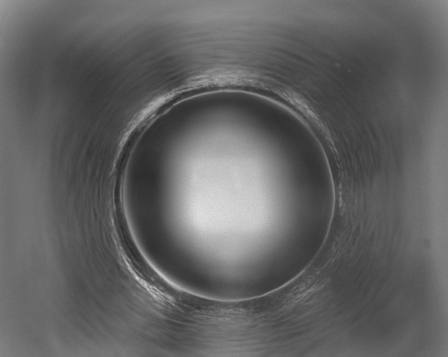 X0000052940438200507151647