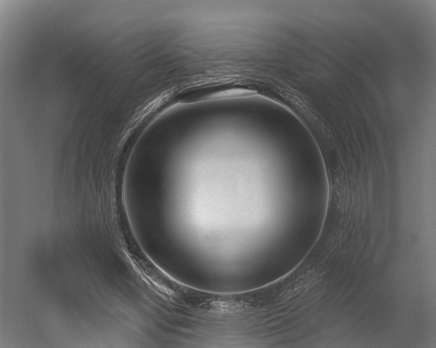 X0000052940442200507151647