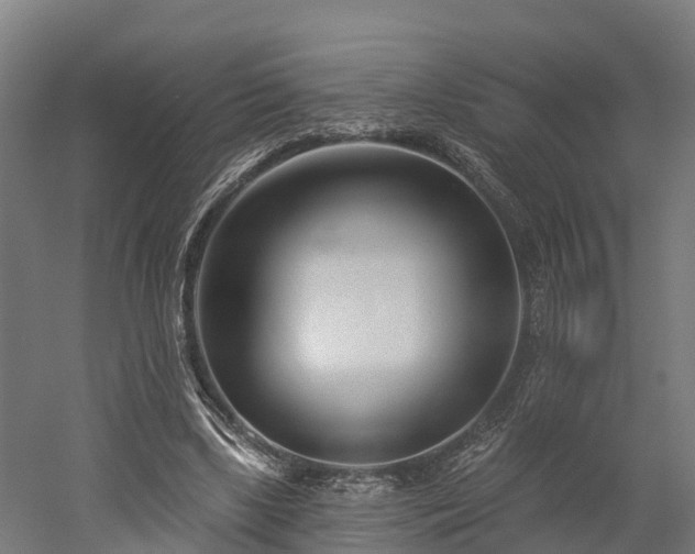 X0000052940443200507151647